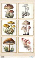Papel De Arroz 54x33 Cm Frames III