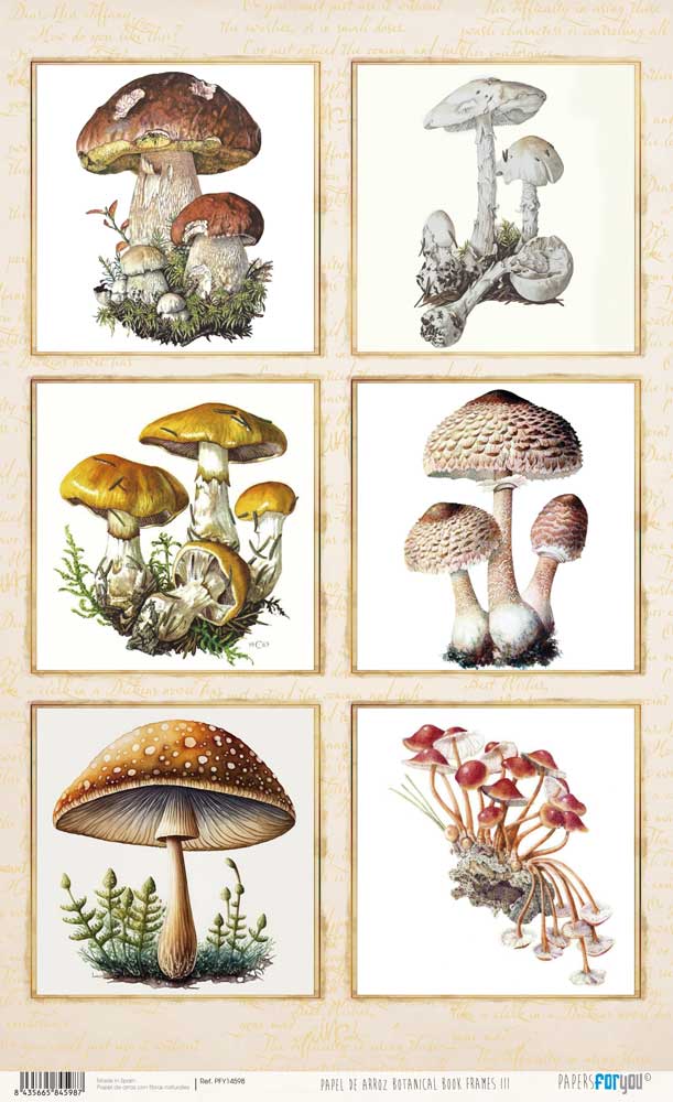 Papel De Arroz 54x33 Cm Frames III