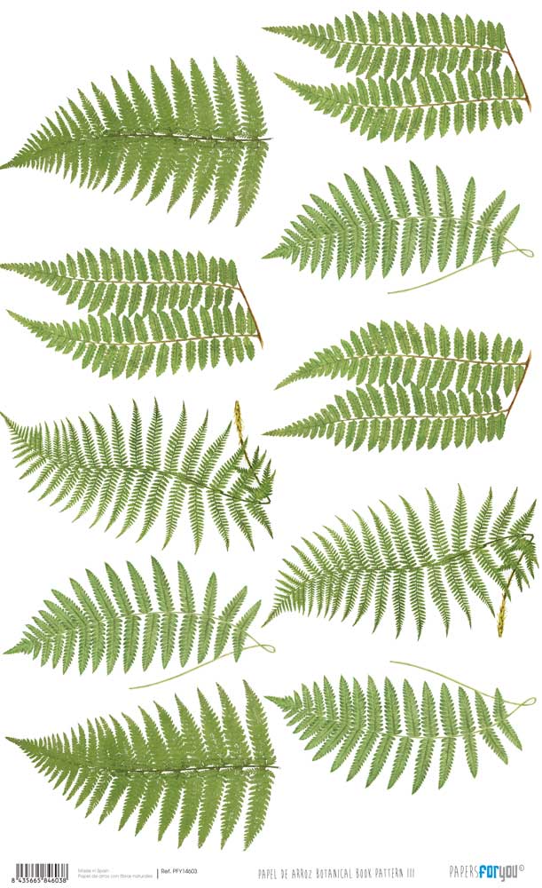 Papel De Arroz 54x33 Cm Pattern III
