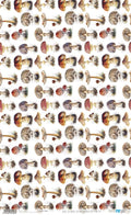Papel De Arroz 54x33 Cm Pattern VIII