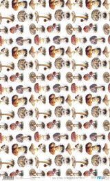 Papel De Arroz 54x33 Cm Pattern VIII