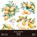 Decor transfer 30x30 Limones 2 hojas