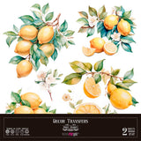 Decor transfer 30x30 Limones 2 hojas