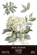 Decor transfer 20x30 Hortensias 3 hojas