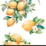 Decor transfer 15x30 Limones 4 Hojas