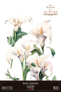 Decor transfer 60x90 Lirios