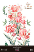 Decor transfer 60x90 Tulipanes