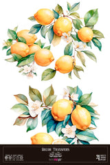 Decor transfer 60x90 Limones