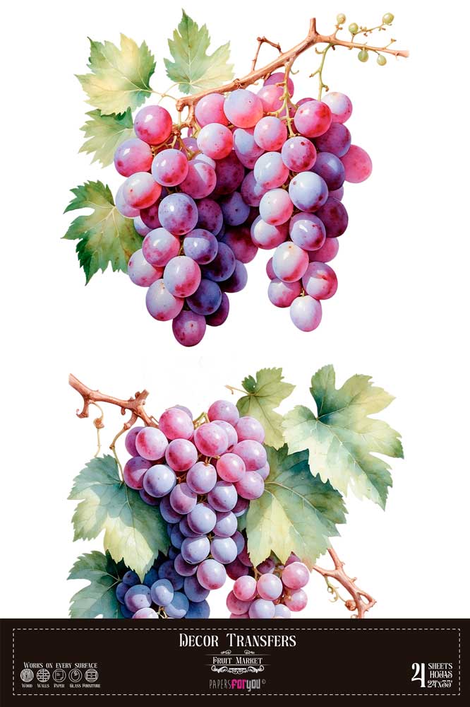 Decor transfer 60x90 Racimos Uvas