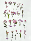Pegatinas Acetato Flores