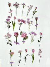 Pegatinas Acetato Flores