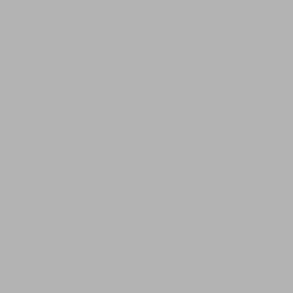 Pack De Cartulina Gris 21X30 250 Gr 50H