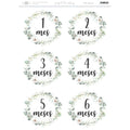 Papel De Arrroz Cumple Meses Din-A3 Del 1 Al 6