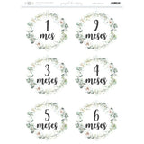 Papel De Arrroz Cumple Meses Din-A3 Del 1 Al 6