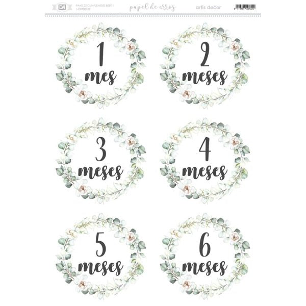 Papel De Arrroz Cumple Meses Din-A3 Del 1 Al 6