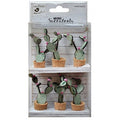 Mini Suculentas Cactus