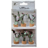 Mini Suculentas Cactus