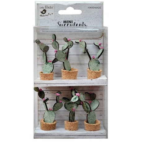Mini Suculentas Cactus