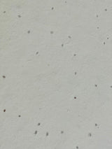 Papel Artesanal con Semillas de hierbas th982