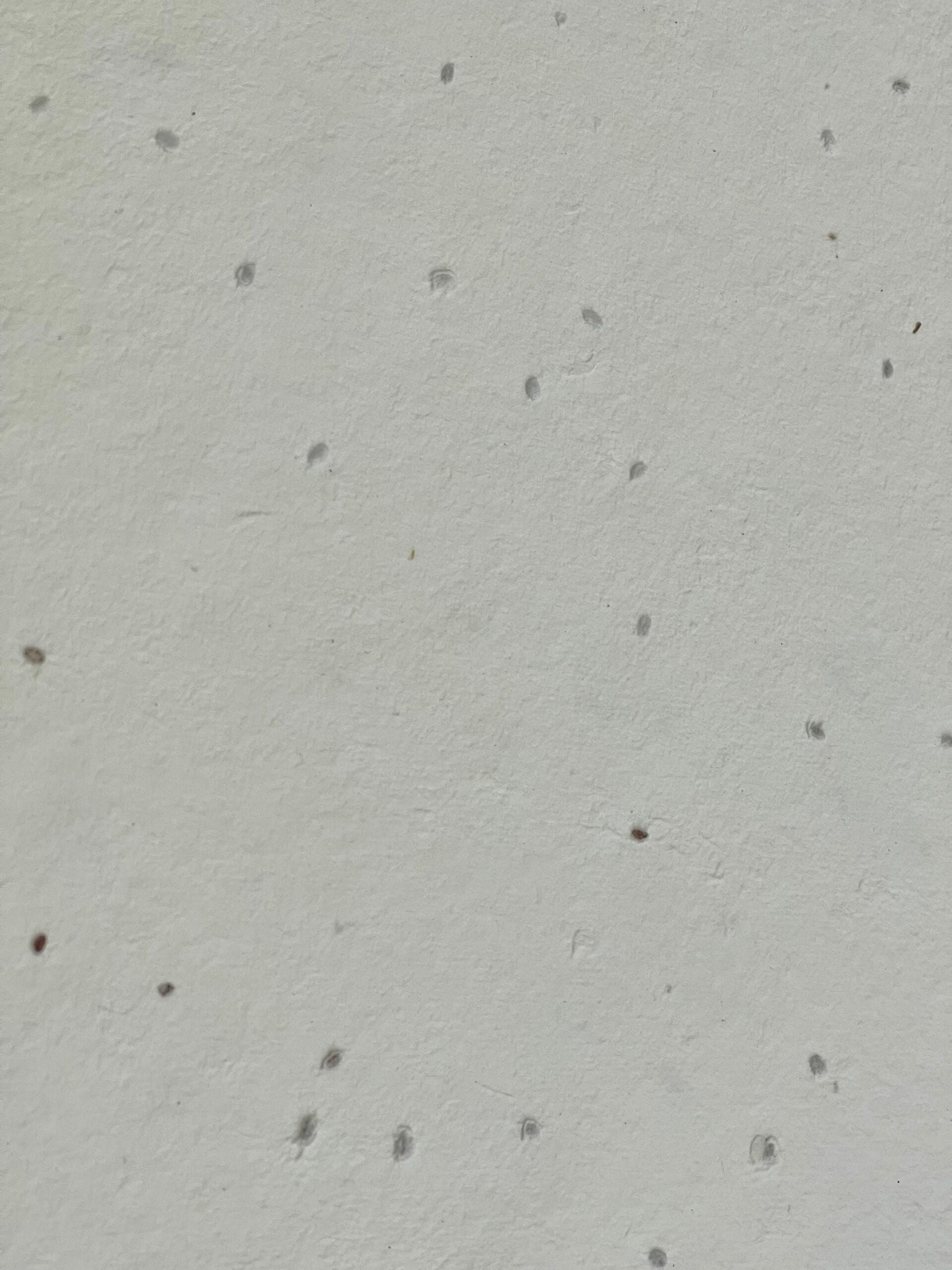 Papel Artesanal con Semillas de hierbas th982