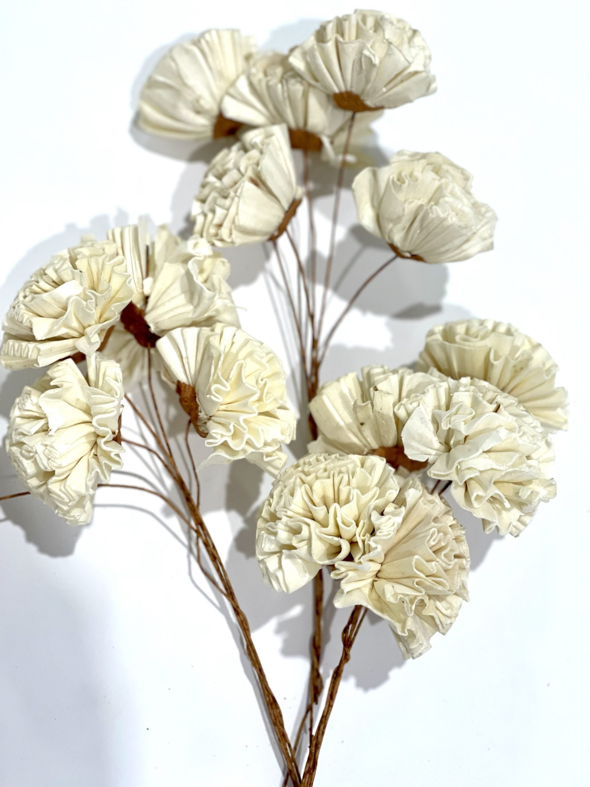 Clavel En Sola Natural 3 Piezas
