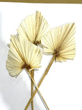 Hoja De Palmera Blanca 3 Piezas