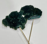 Seta Verde 1 Pieza
