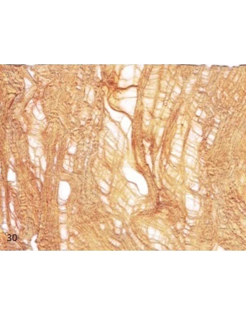 Papel Artesanal de corteza de Arbol en marron th112