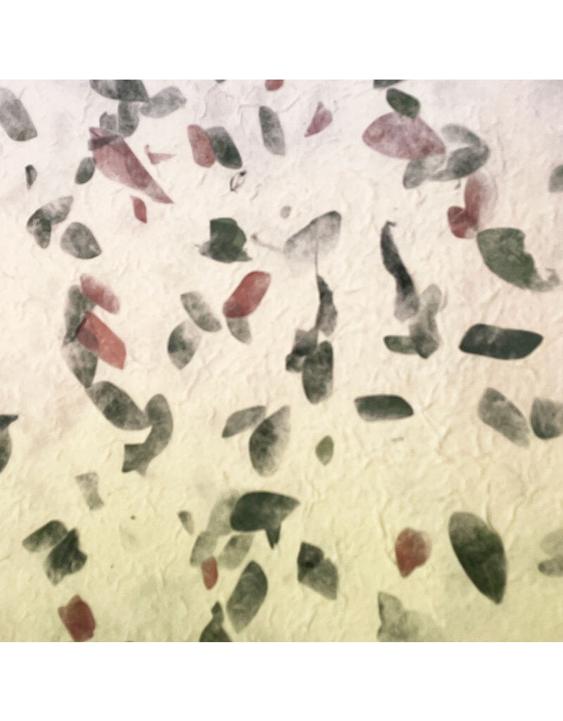 Papel Artesanal con hojas de mono  th917