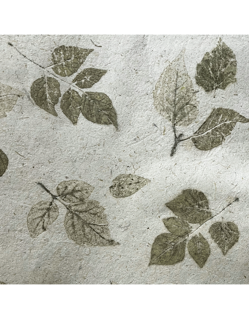 Papel Artesanal con fibras de Maiz y hojas th847