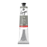 Tubo Oleo Titan Goya 20Ml. Nº79 Gris