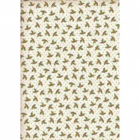 Papel De Arroz Acebo Din-A4