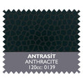 Pintura Sellfy Leather especial cuero 120cc 10139 Antracita