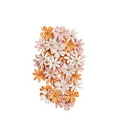 Flores Prima