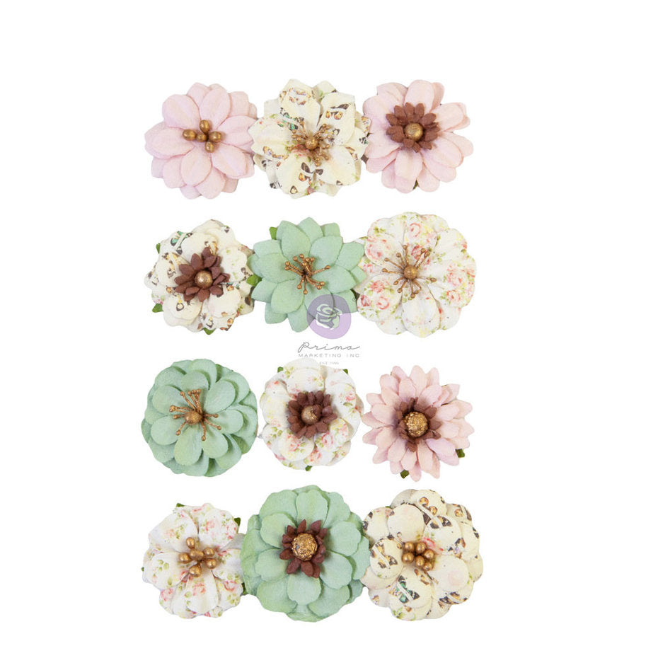 Flores prima colores variados