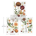 Transfer Seasonal Splendor