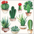 Hoja Servilleta Cactus