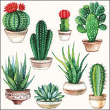 Hoja Servilleta Cactus