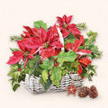Hoja Servilleta Cesta Poinsettia