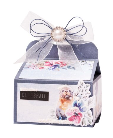 Plantilla Caja