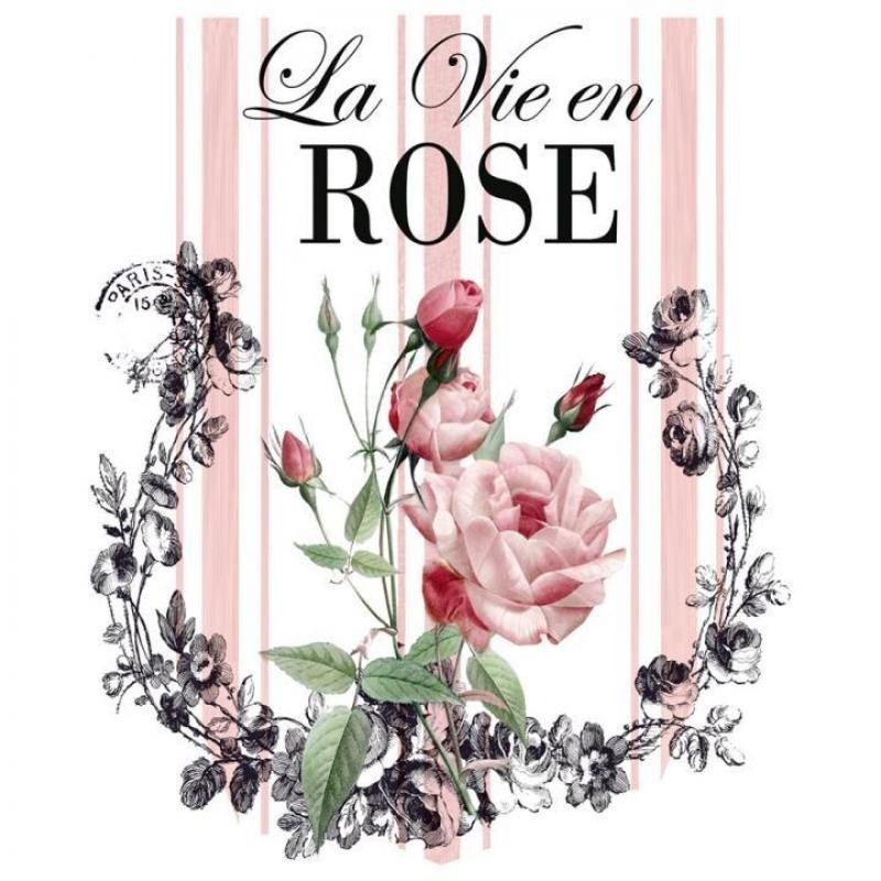 DTF Textil  La vie en Rose