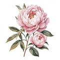 DTF Textil Flor rosa 1