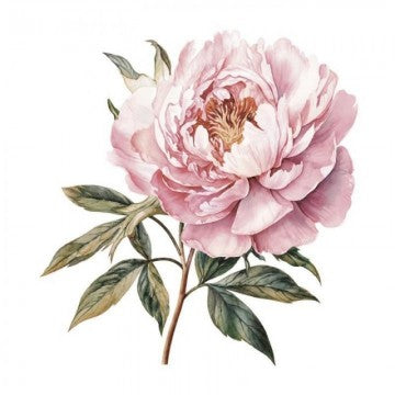 DTF Textil flor rosa